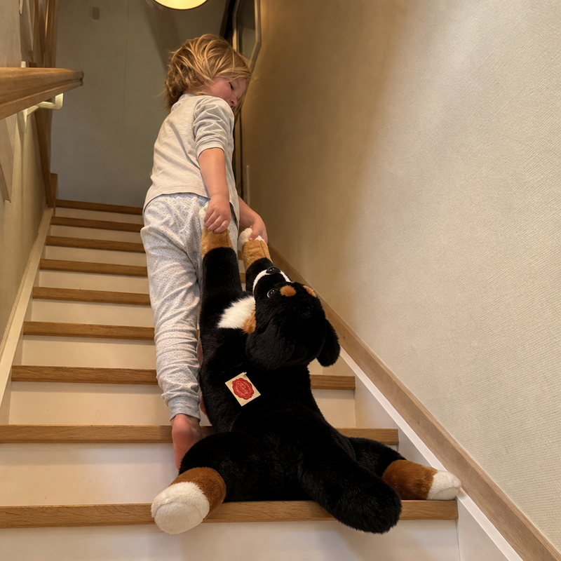Barn krammer bamse Berner Sennen hund liggende 60 cm fra Teddy Hermann
