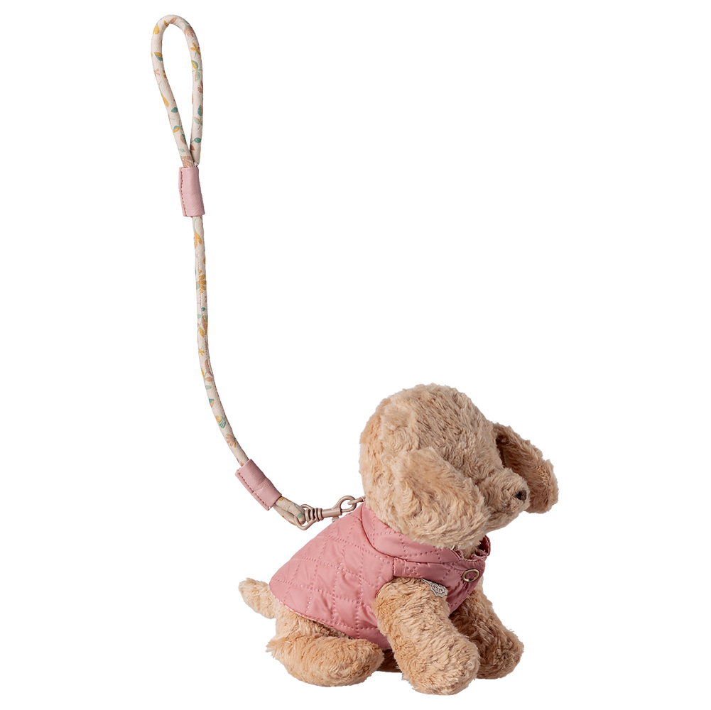 Hvalpetilbehør: Halsbånd og snor - Rosa