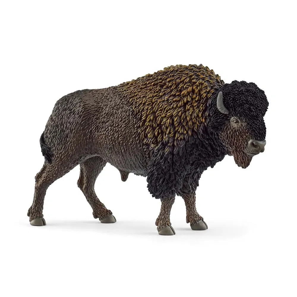 Bisonokse