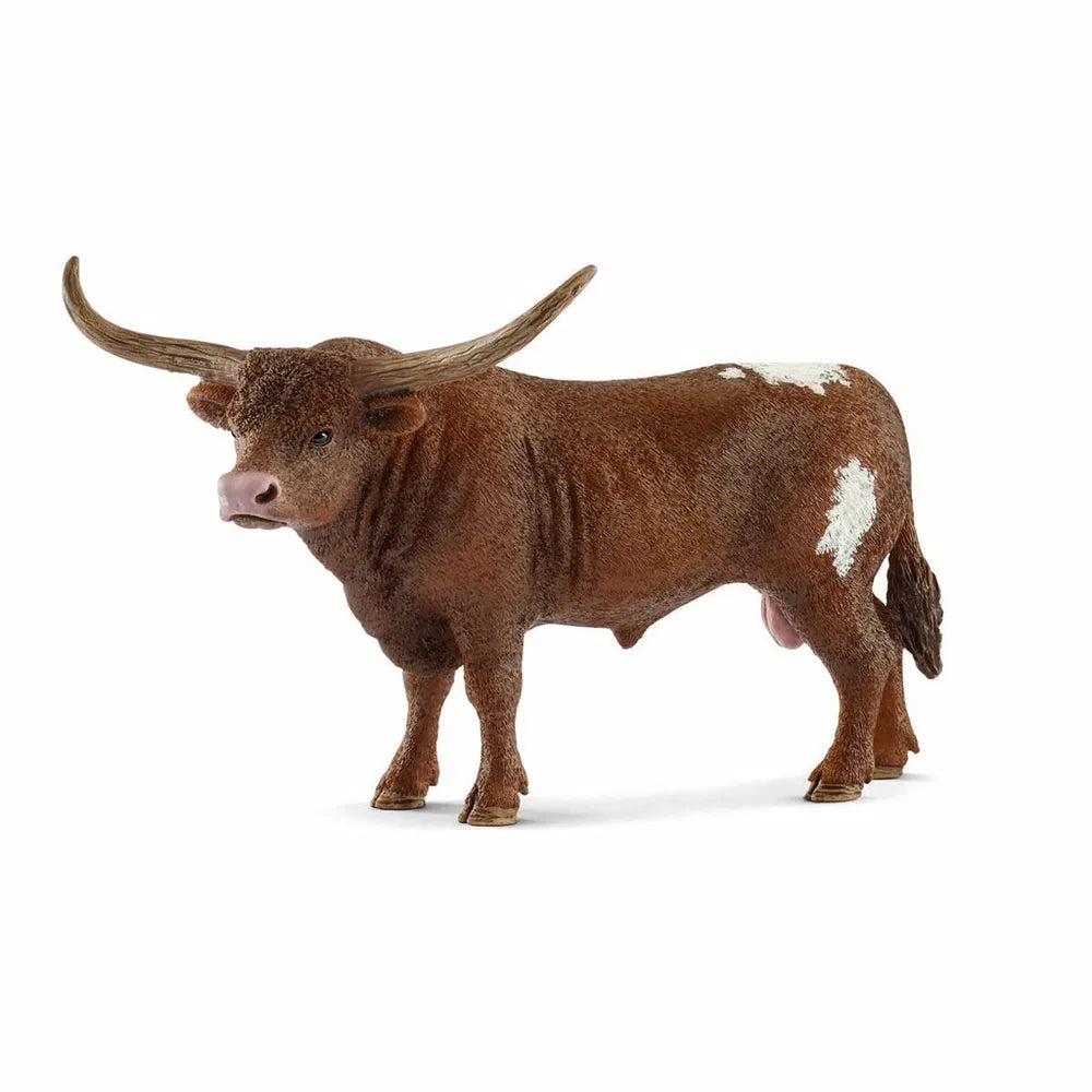 Texas longhorn tyr