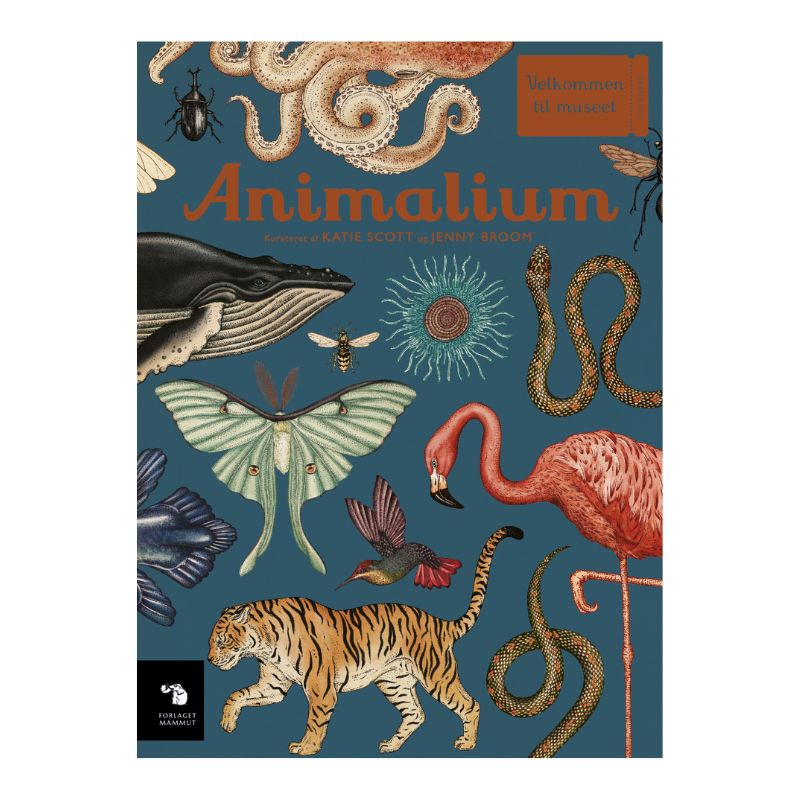 Animalium