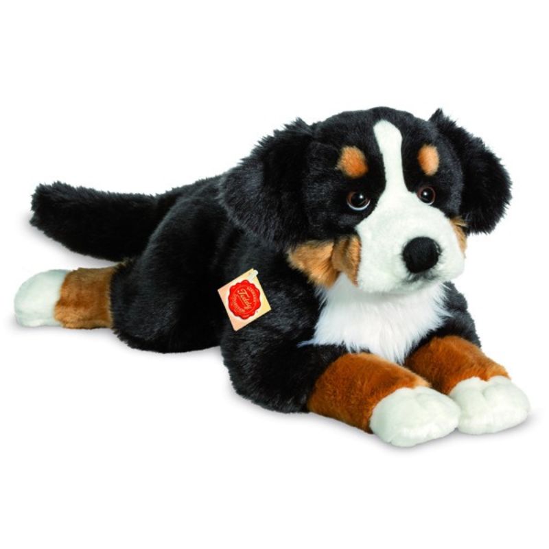 Bamse Berner Sennen hund - Liggende 60 cm