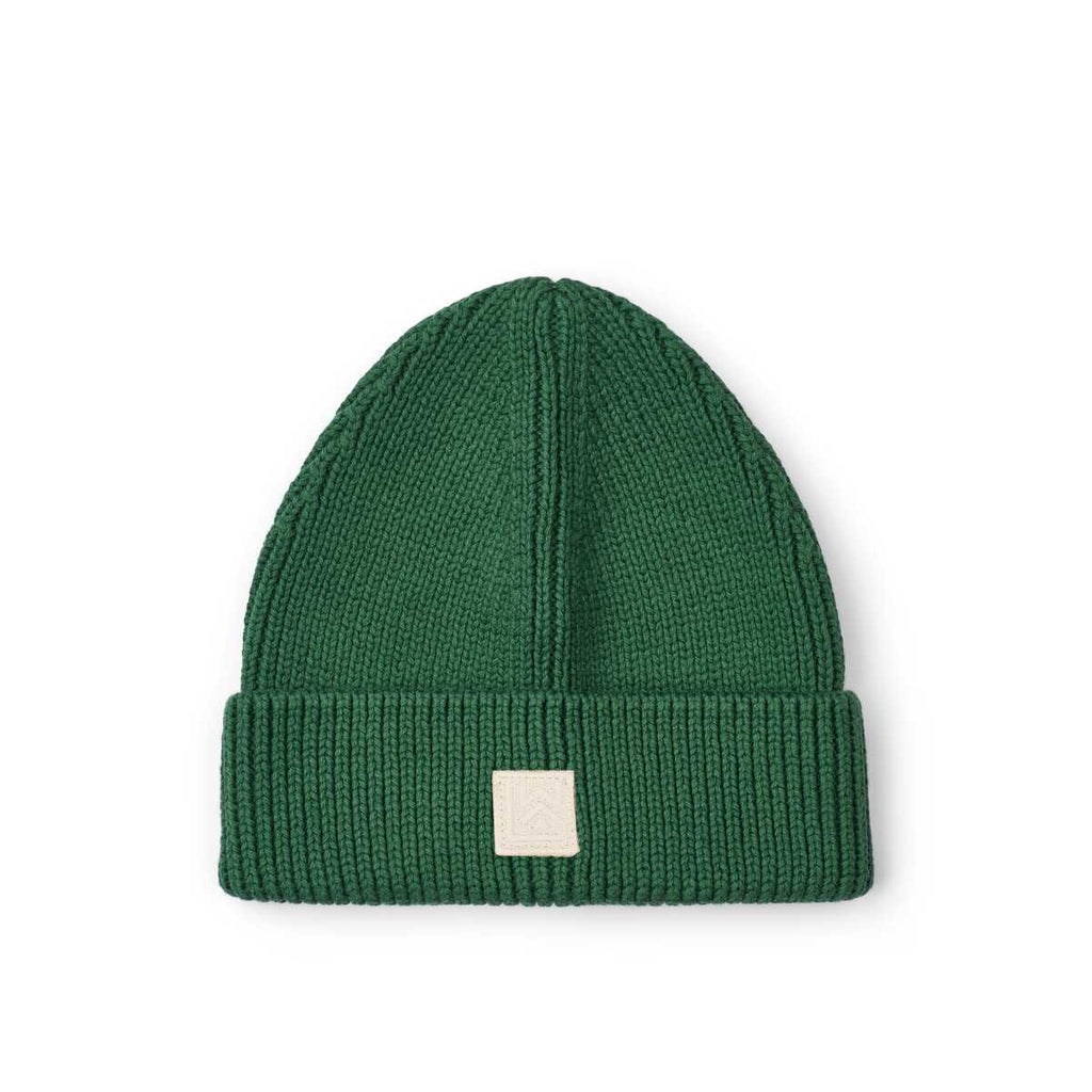 Ezra beanie - garden green