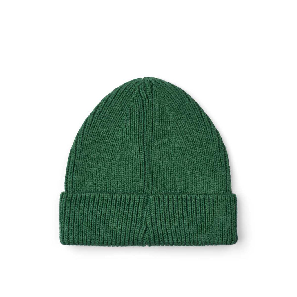 Ezra beanie - garden green