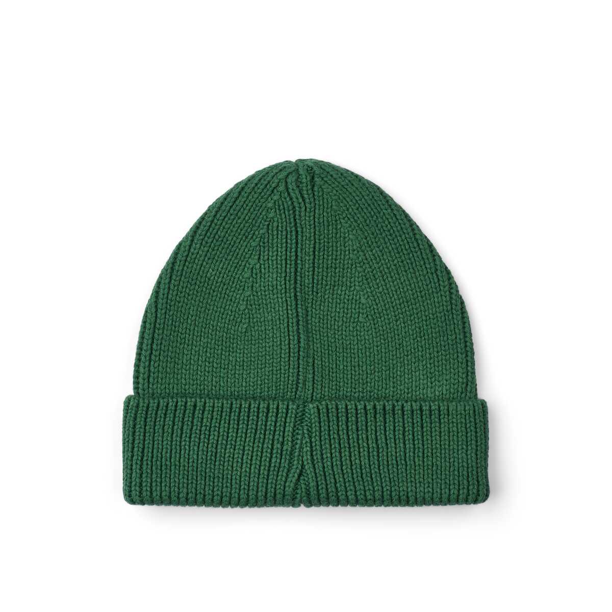 Ezra beanie - garden green