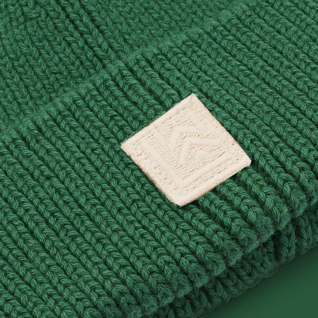 Ezra beanie - garden green