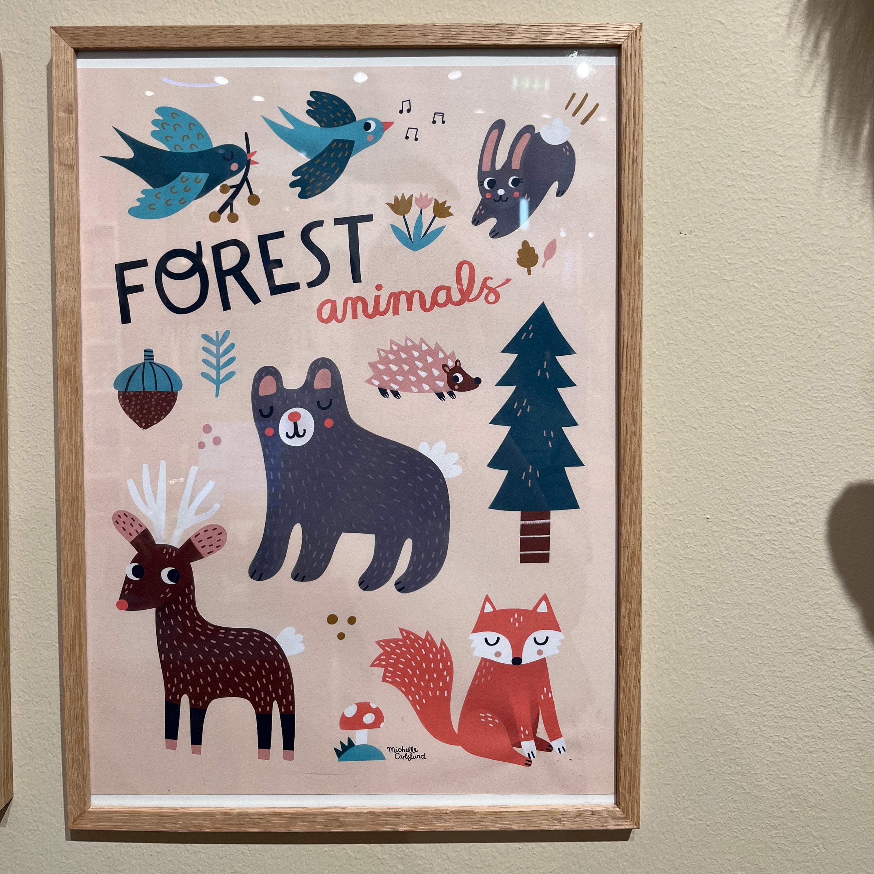 Plakat forest animals