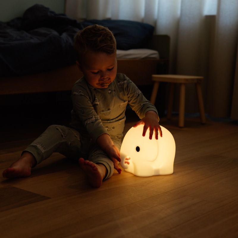 First light - Elefant