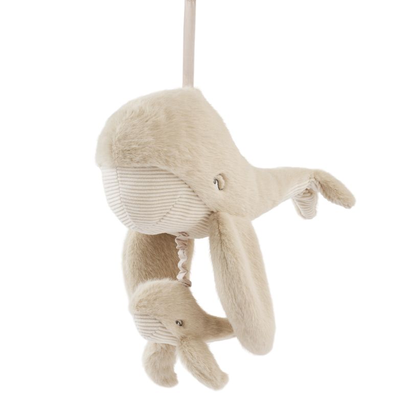 Musikuro - hval med unge