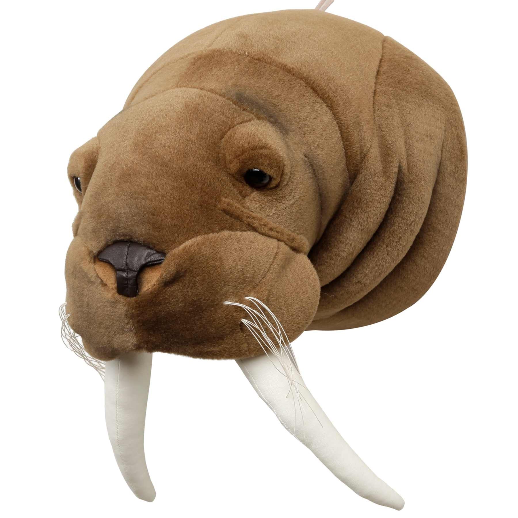 Dyrehoved til væg - Hvalros