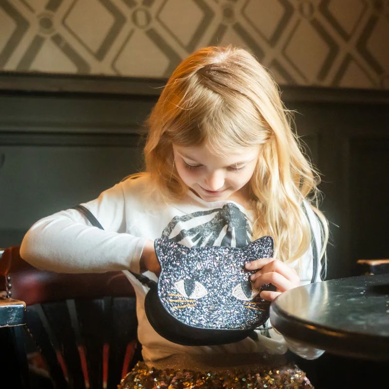 Kattetaske med glitter