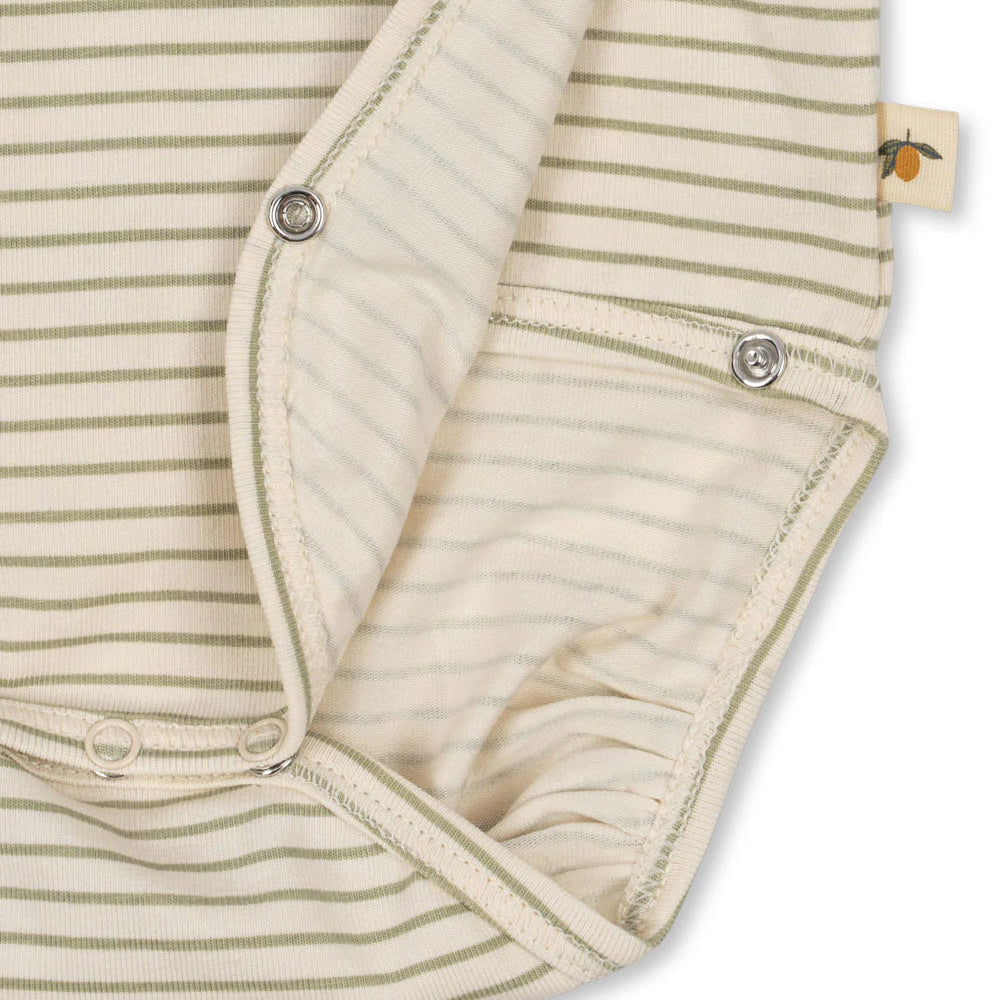 Newborn body - tea stripe
