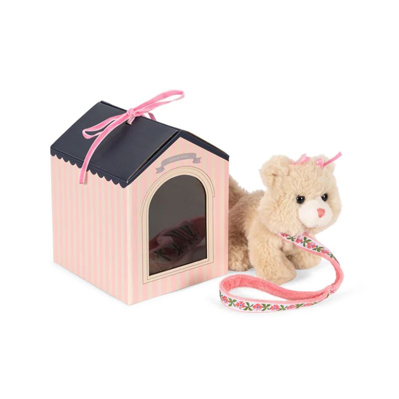 Pet kitty - Kat med hus