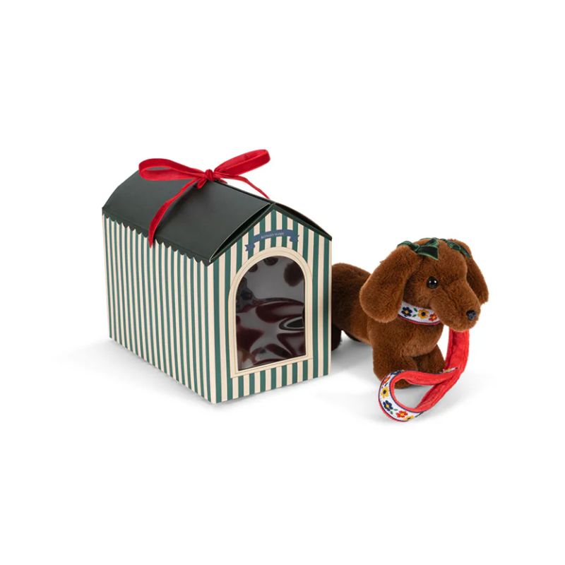 Pet puppy - Hund i hus