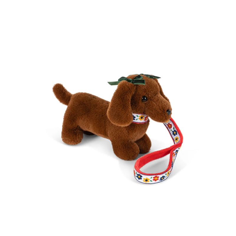 Pet puppy - Hund i hus
