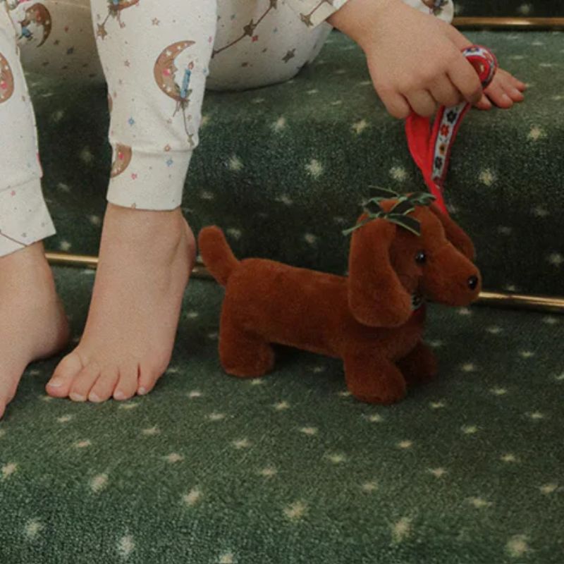 Pet puppy - Hund i hus