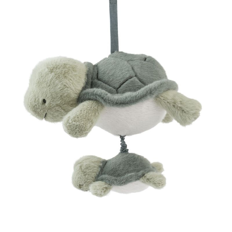 Musikuro - skildpadde med unge