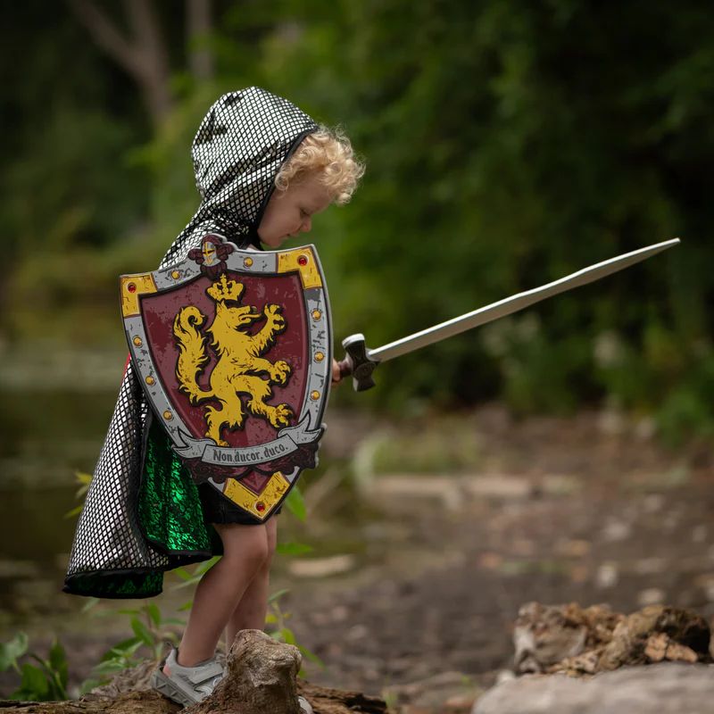 Skumskjold - Knights honour