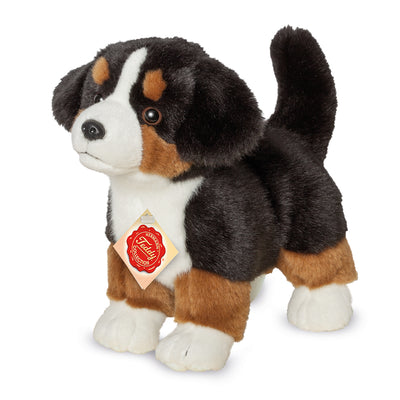 Bamse Berner sennen hund stående