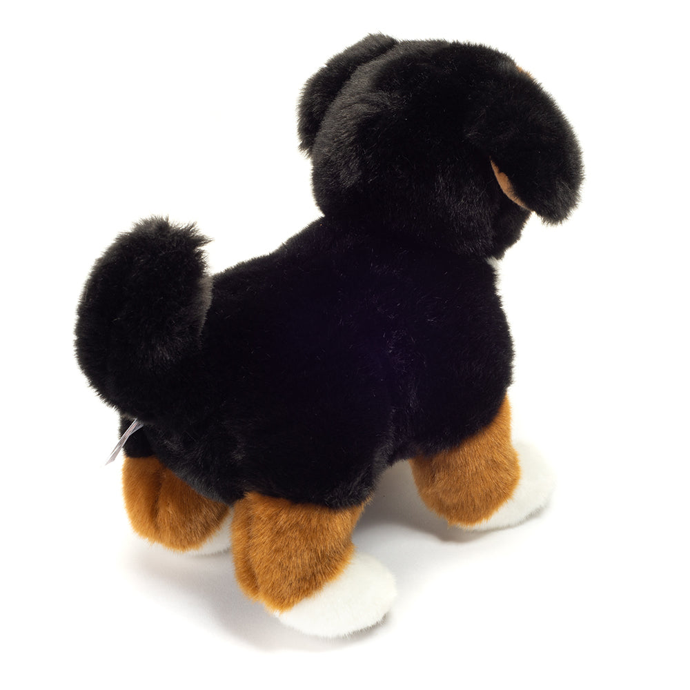 Bamse Berner sennen hund stående