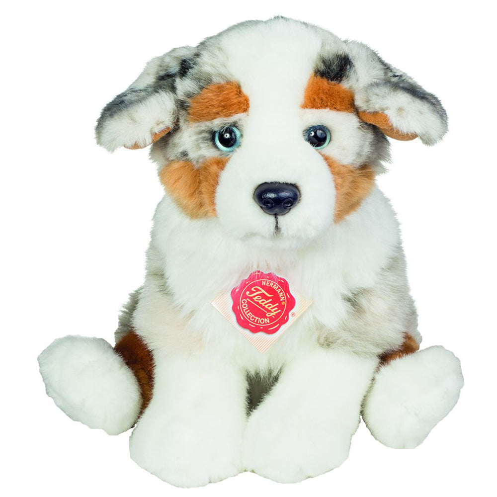 Bamse australsk hyrdehund hvalp