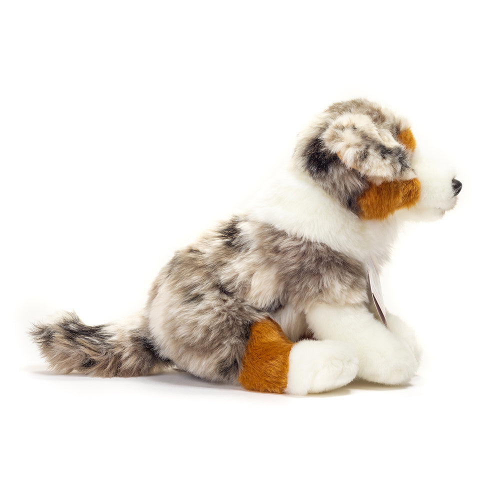 Bamse australsk hyrdehund hvalp