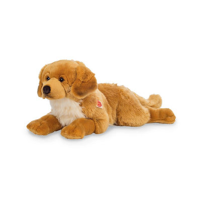 Bamse Golden Retriever