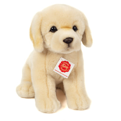 Bamse siddende Golden retriever