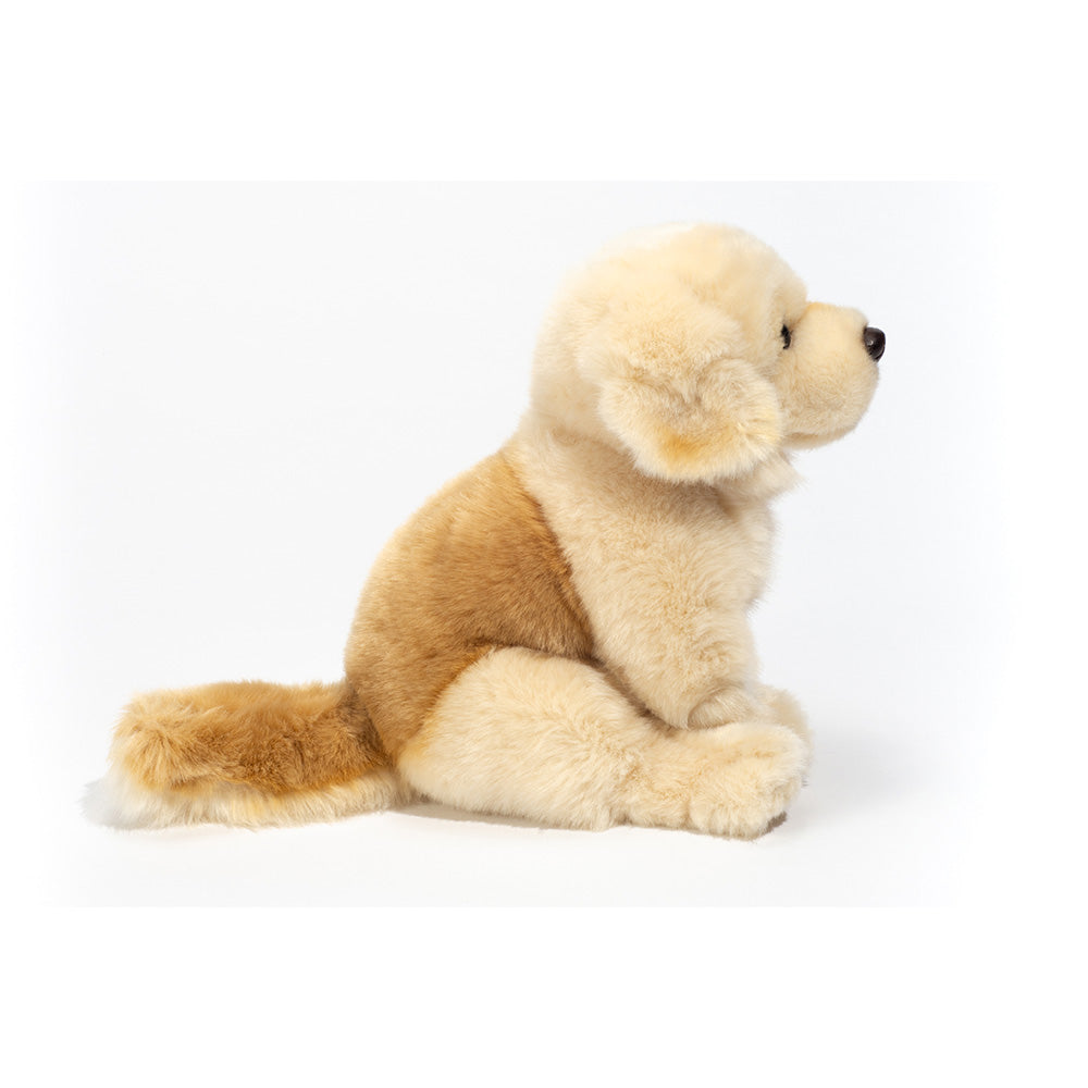 Bamse siddende Golden retriever