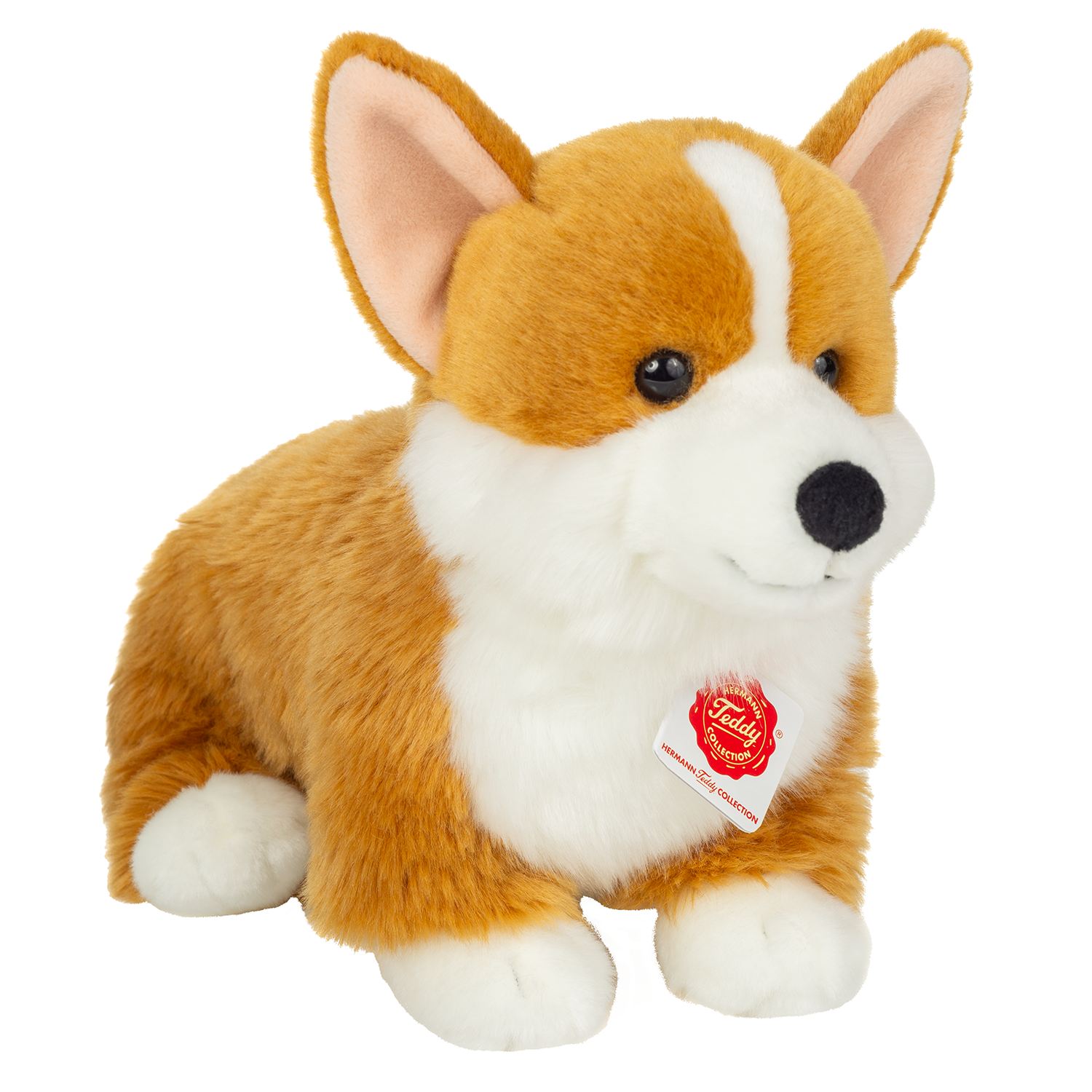 Bamse corgi