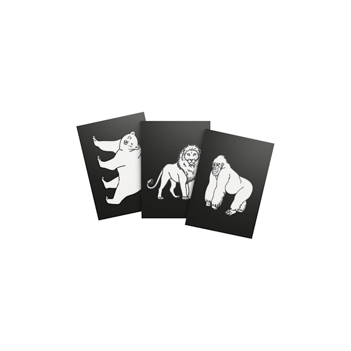 Kidyneon 3 Pak sæt - Animals