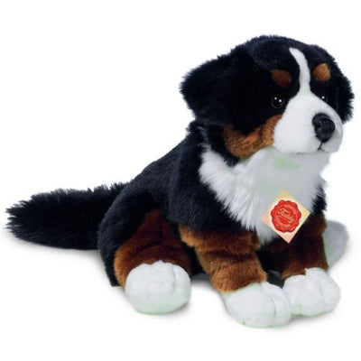 Bamse siddende Berner sennen