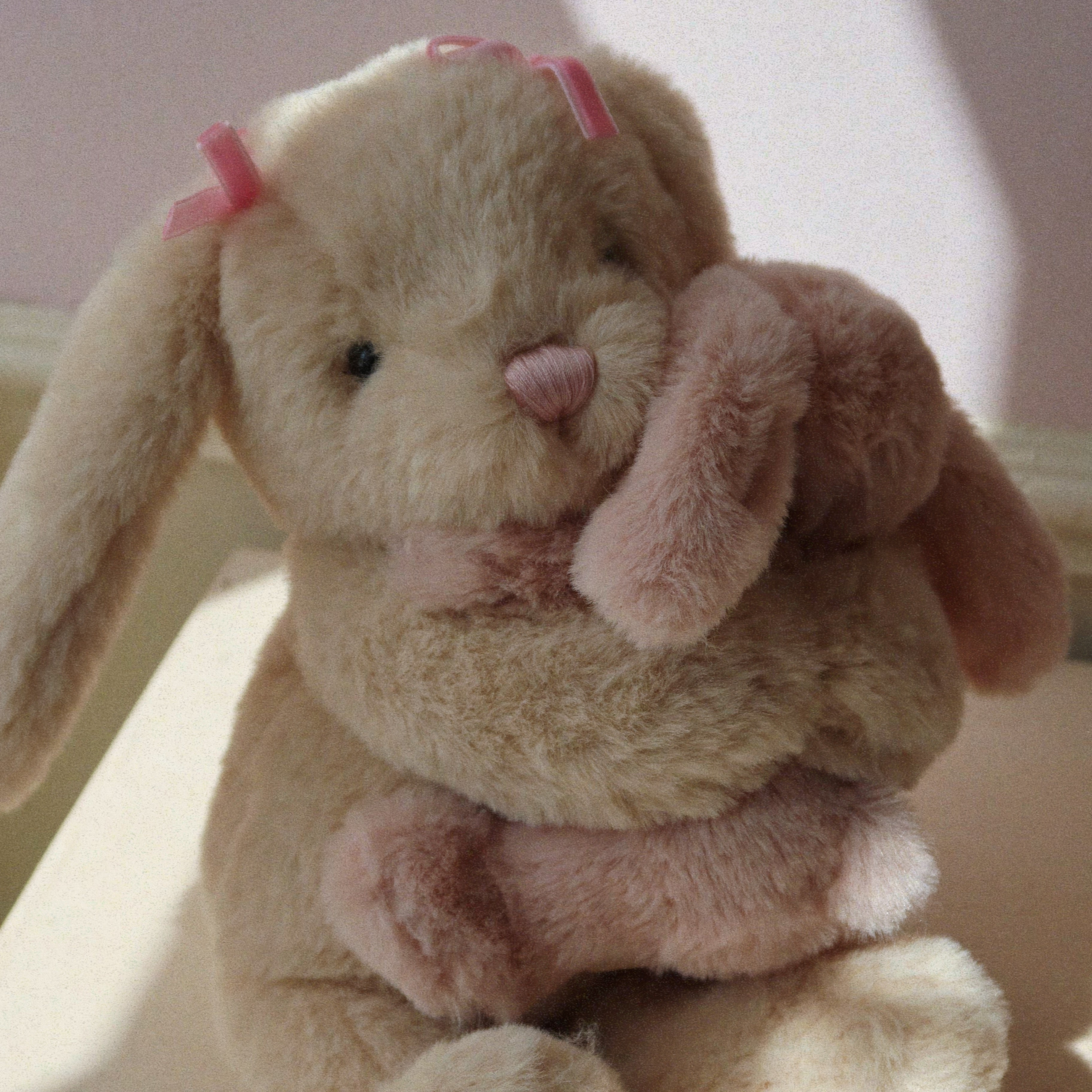 Bamse bunny hugs