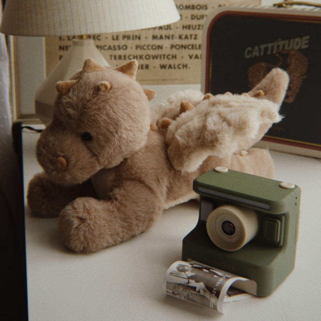 Bamse Teddy Drage