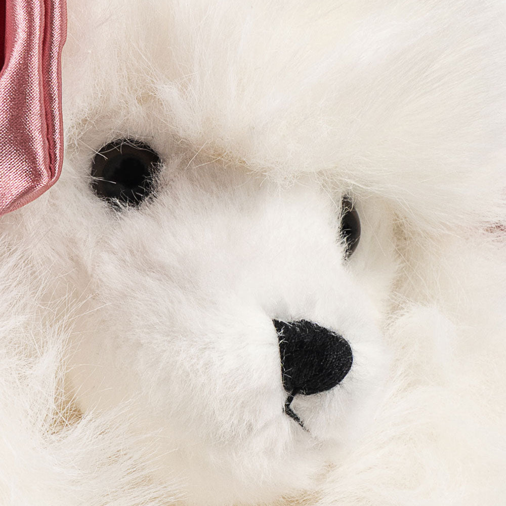 Bamse spitz hvalp