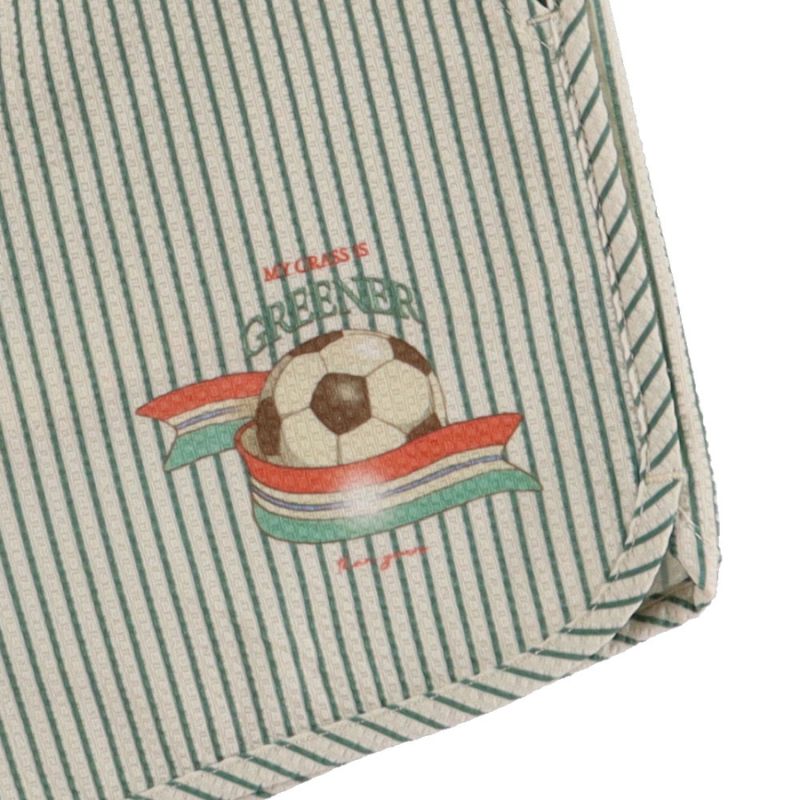 Svømmeshorts - Tea Stripe (5-6 år)