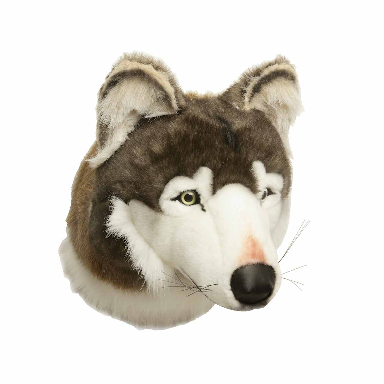 Dyrehoved til væg - Ulv