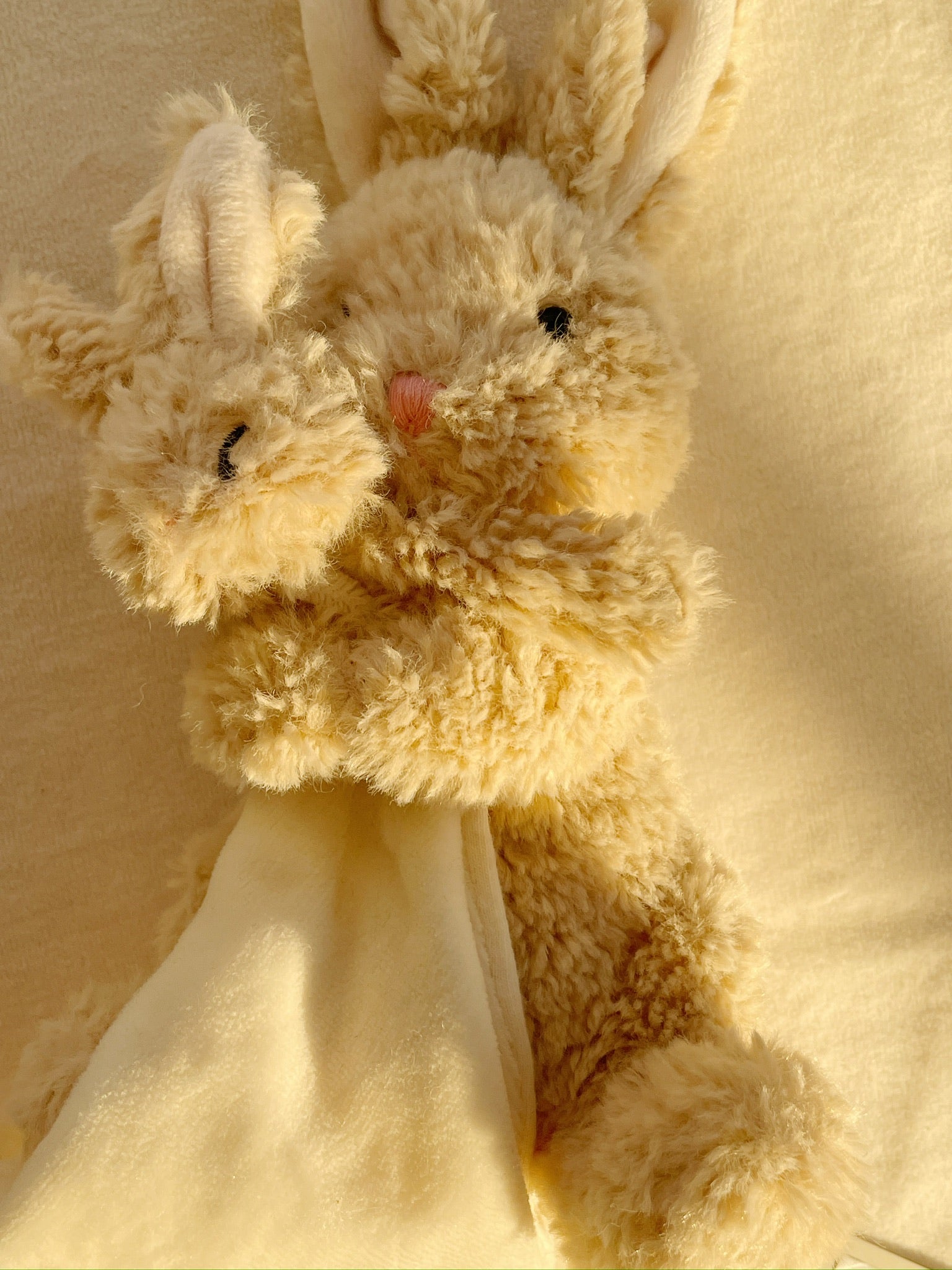 Nusseklud - Piccobino