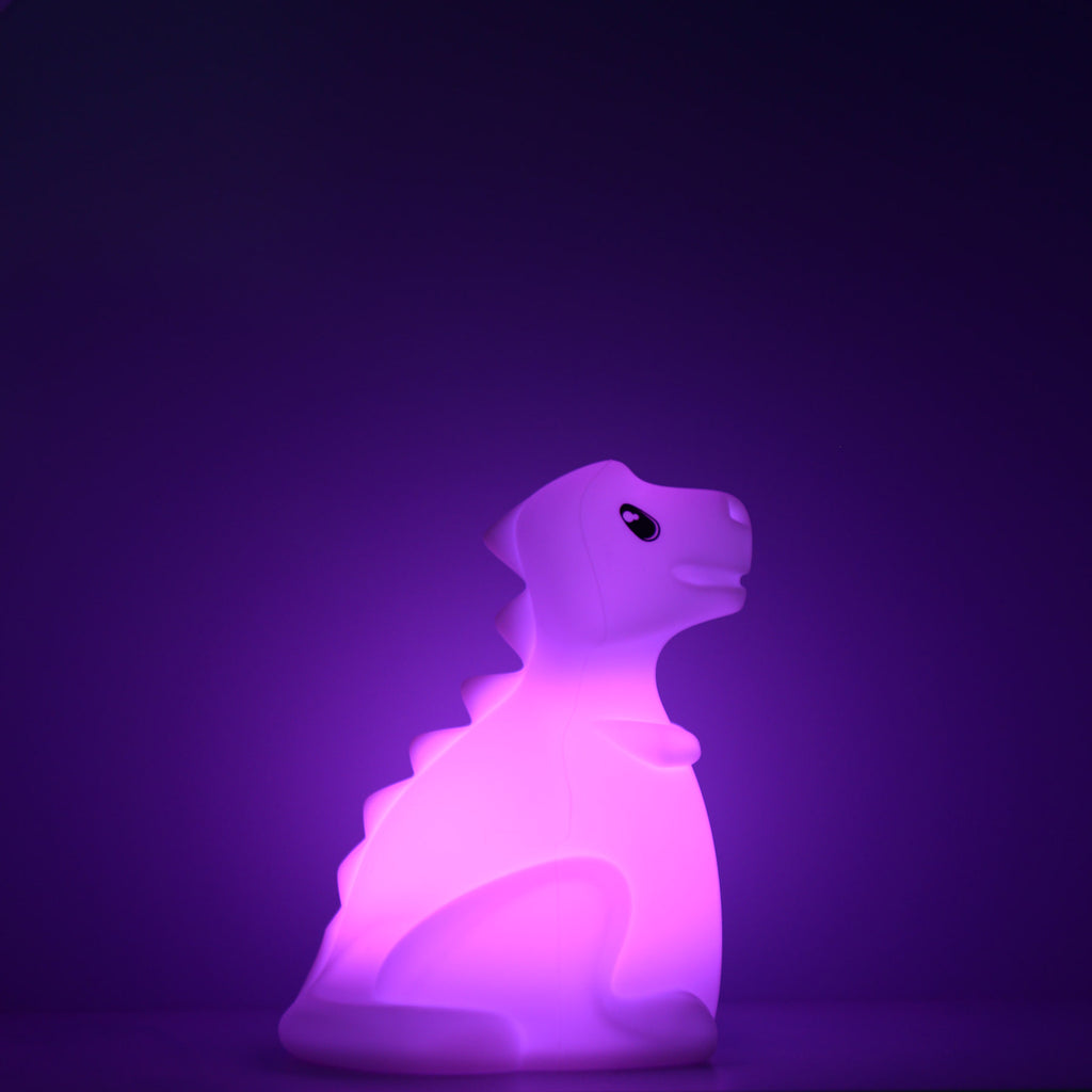 Kidynight - dinosaur
